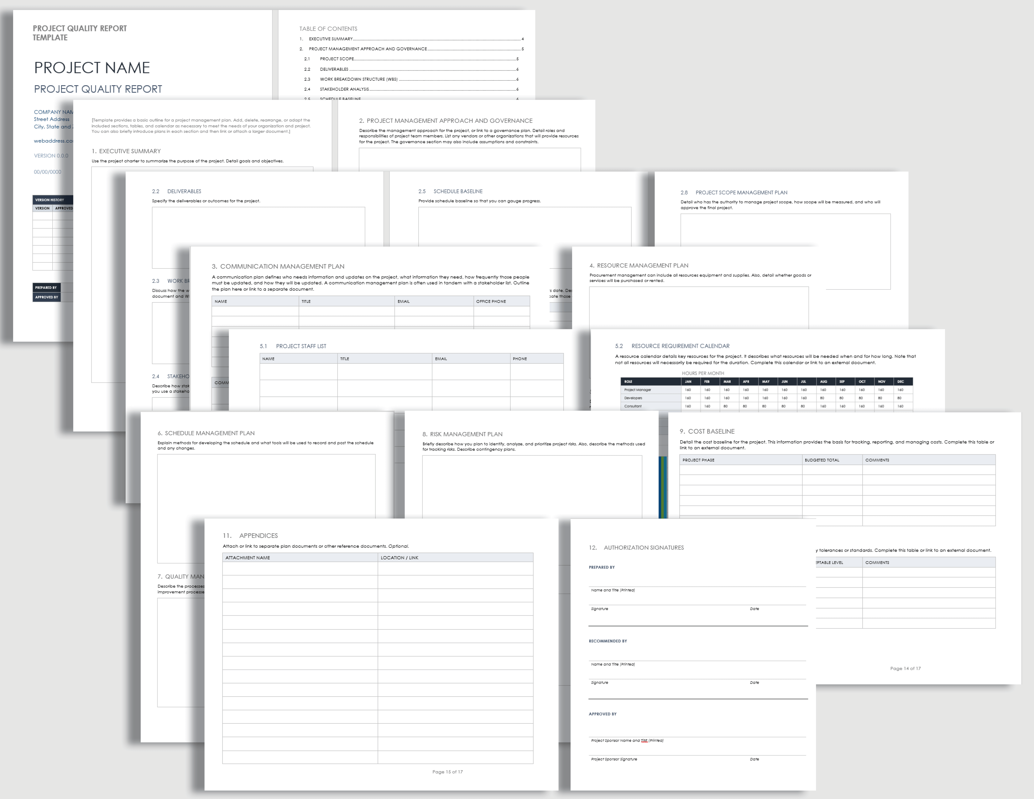 Project Quality Report Template