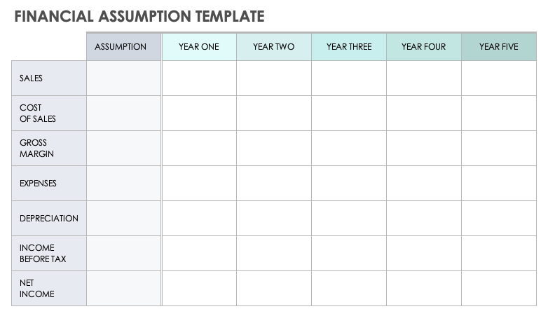 Financial Assumption Template