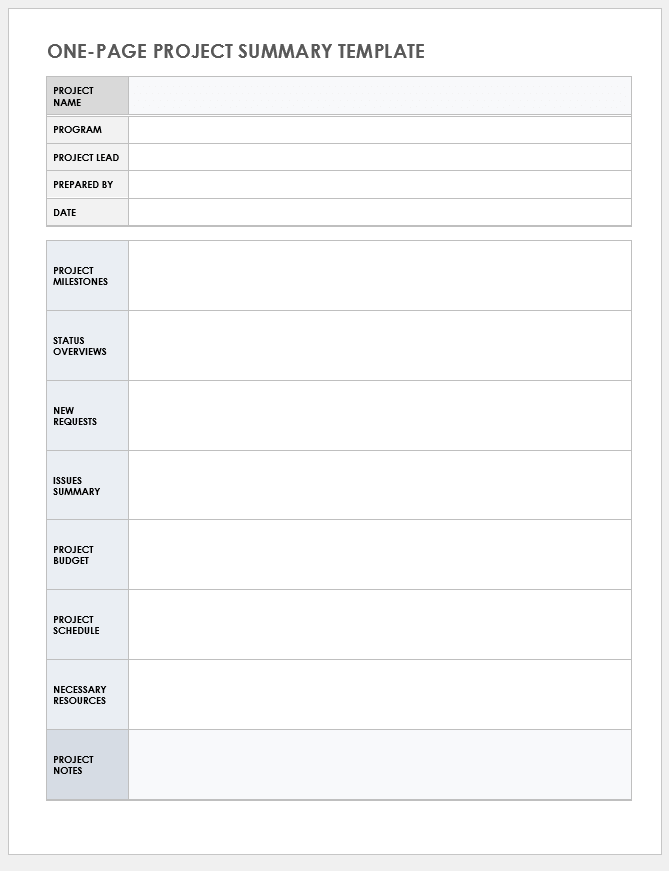 One Page Project Summary Template